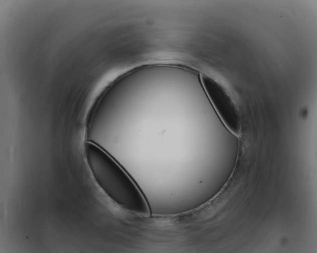 X0000102481472200808081021