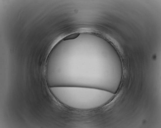 X0000102481473200808081021