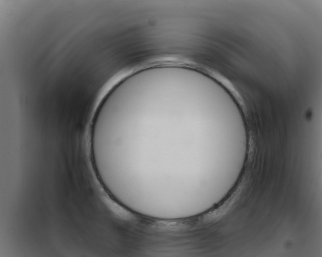 X0000102481474200808081021