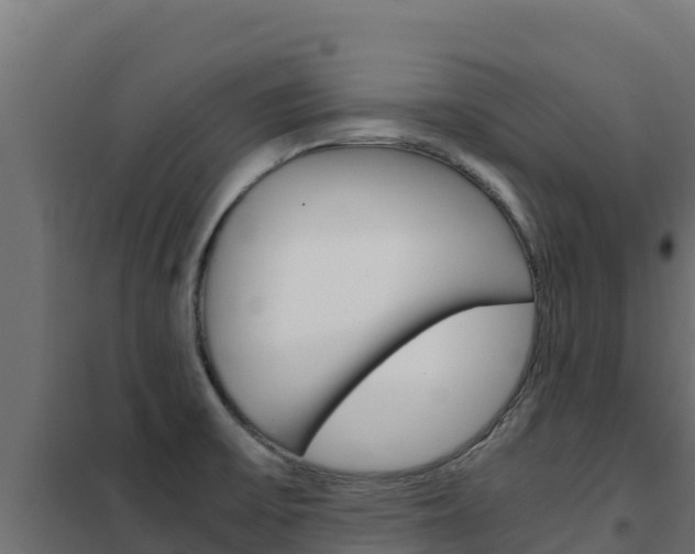 X0000102481475200808081021