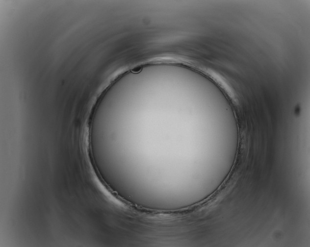 X0000102481476200808081021