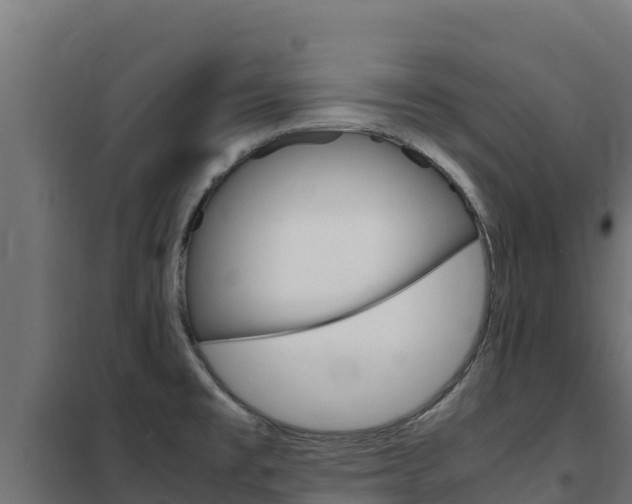 X0000102481477200808081021