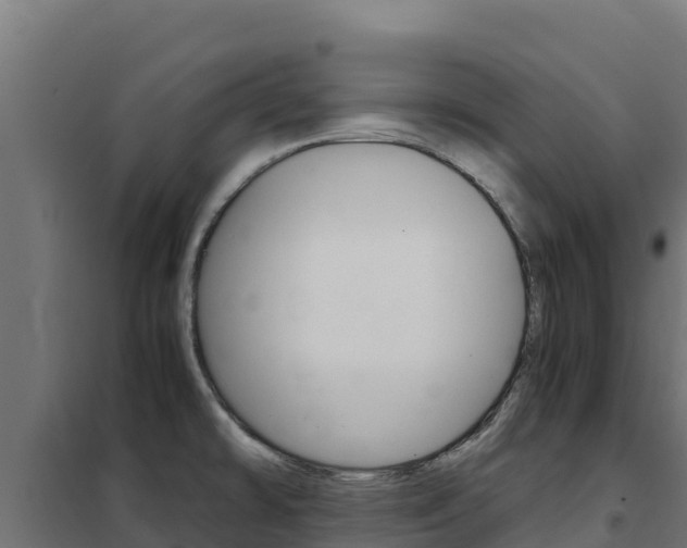 X0000102481478200808081021