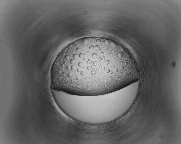 X0000102481479200808081021