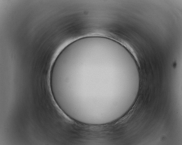 X0000102481480200808081021