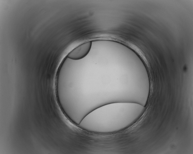 X0000102481482200808081021