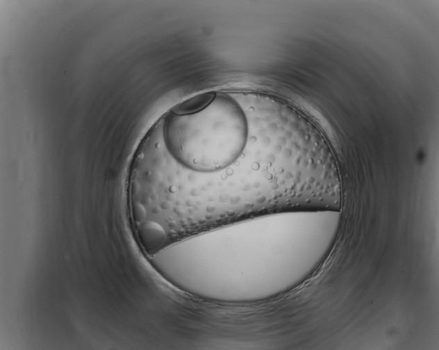 X0000102481483200808081021