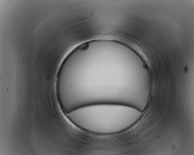 X0000102481484200808081021