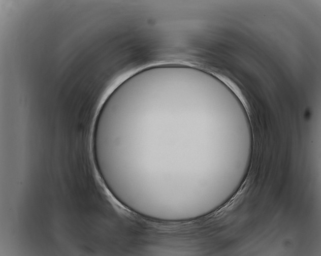 X0000102481485200808081021