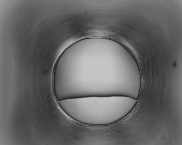 X0000102481487200808081021