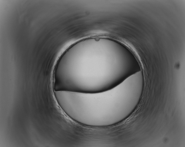 X0000102481488200808081021