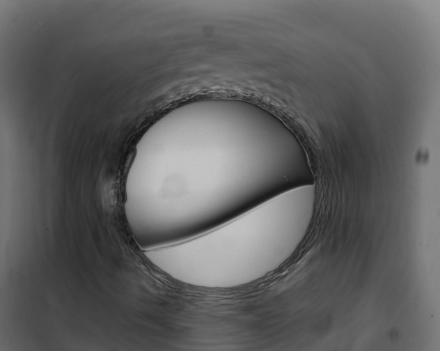 X0000102481490200808081020