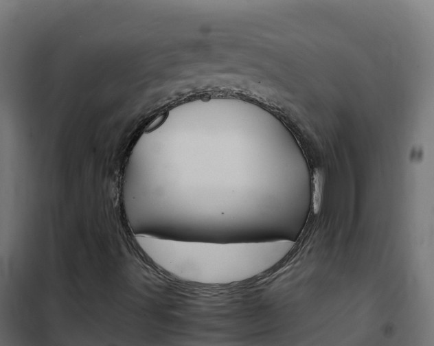 X0000102481491200808081020