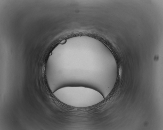 X0000102481492200808081020
