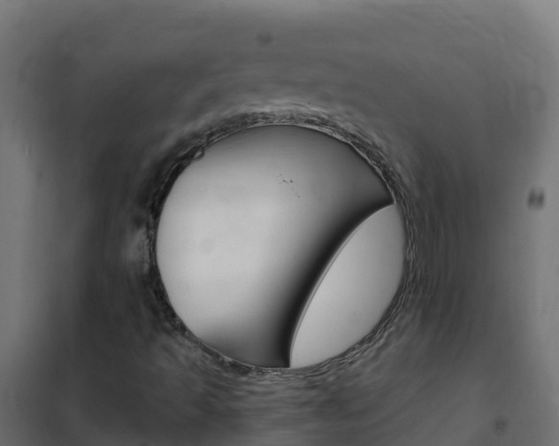 X0000102481493200808081020