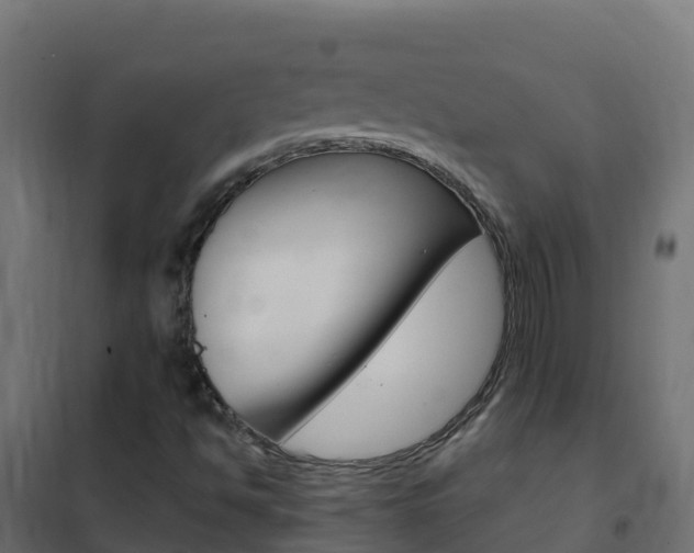 X0000102481494200808081020