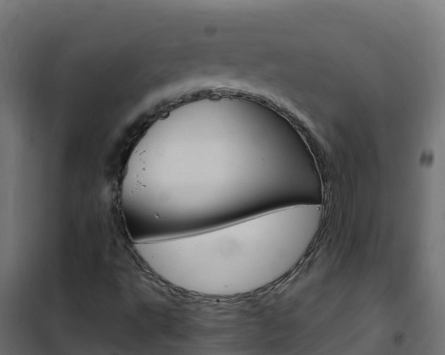 X0000102481495200808081020