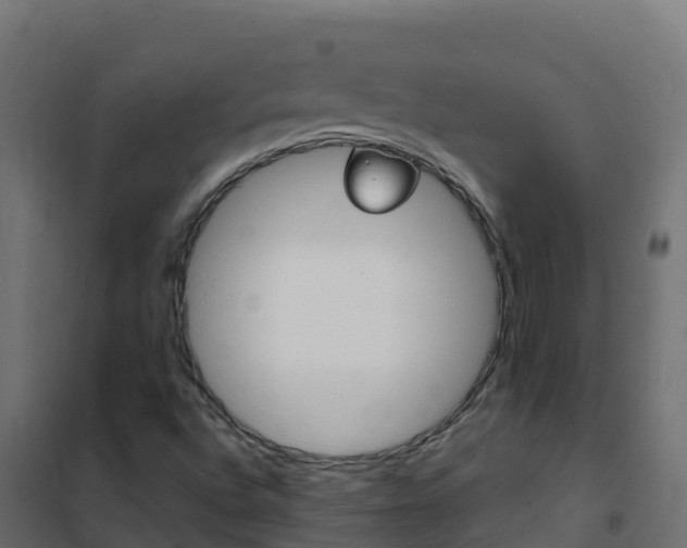 X0000102481496200808081020