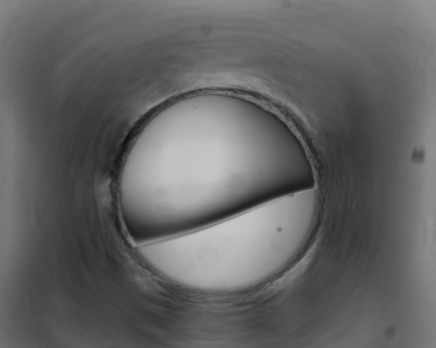 X0000102481497200808081020