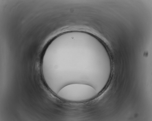 X0000102481498200808081020