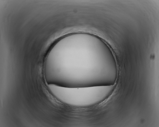 X0000102481499200808081020