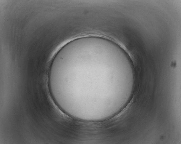 X0000102481500200808081020