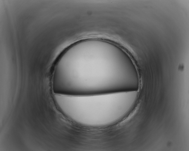 X0000102481501200808081021