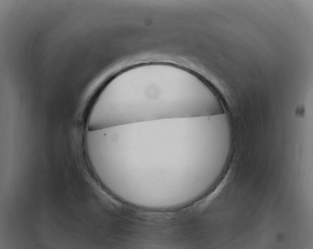X0000102481502200808081021