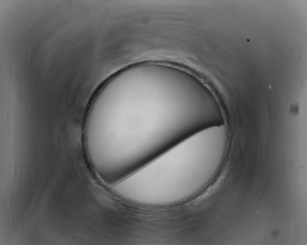 X0000102481505200808081021