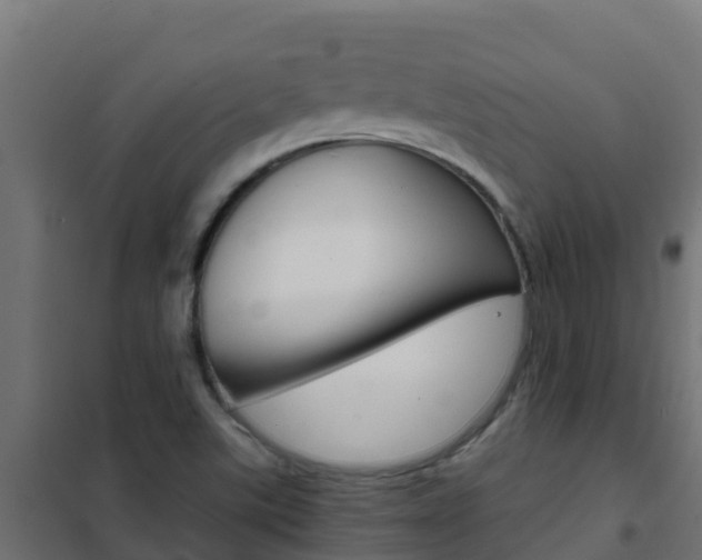 X0000102481507200808081021