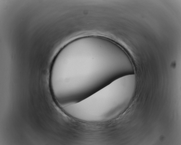 X0000102481508200808081021