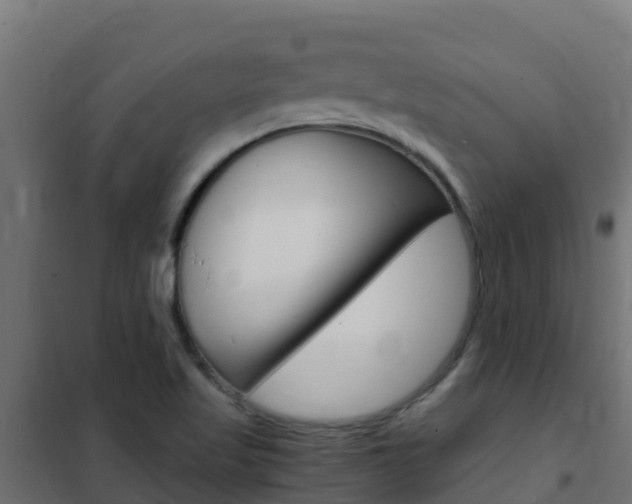 X0000102481509200808081021