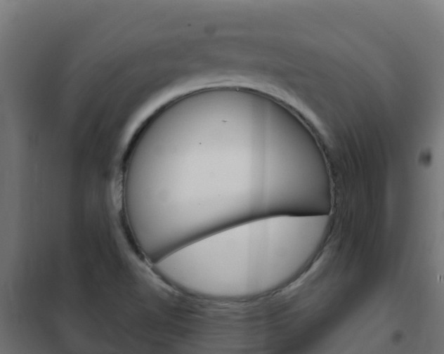 X0000102481510200808081021