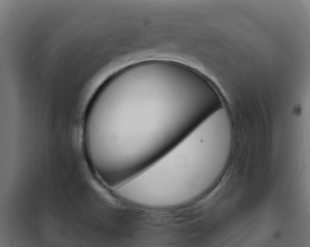 X0000102481511200808081021