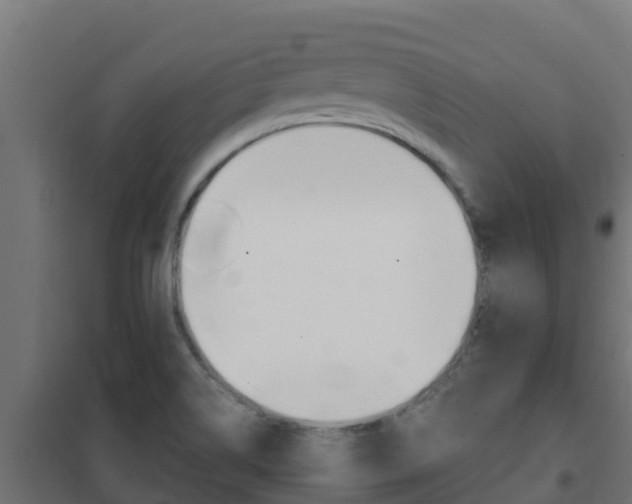 X0000102481514200808081021