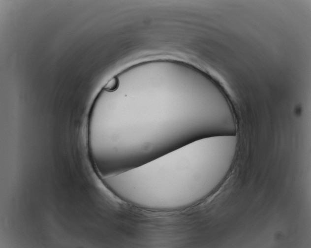 X0000102481516200808081021