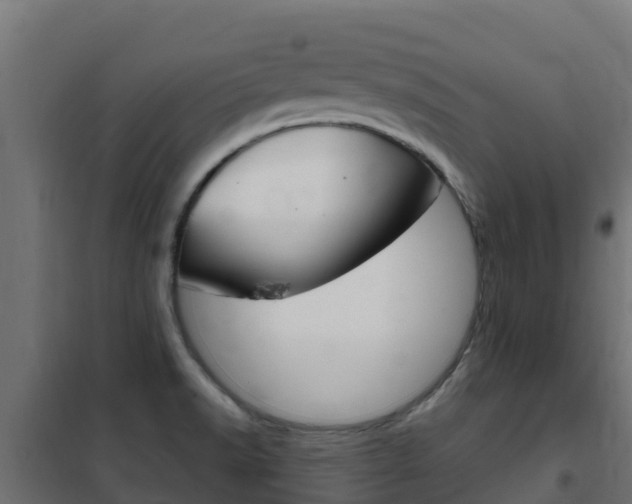 X0000102481518200808081021