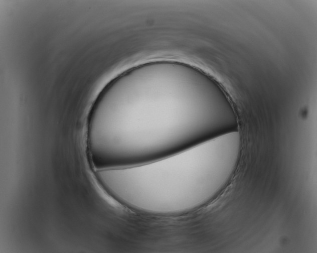 X0000102481519200808081021