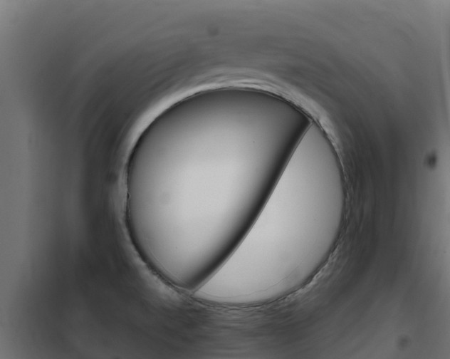 X0000102481520200808081021