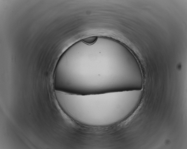 X0000102481521200808081021