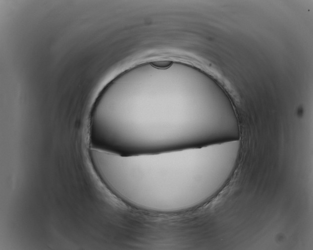 X0000102481522200808081021