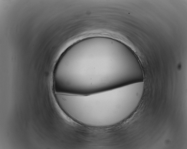 X0000102481523200808081021