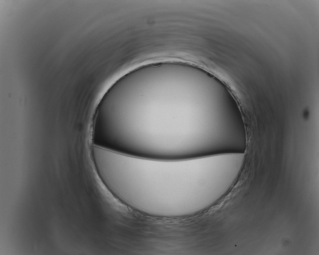 X0000102481524200808081021
