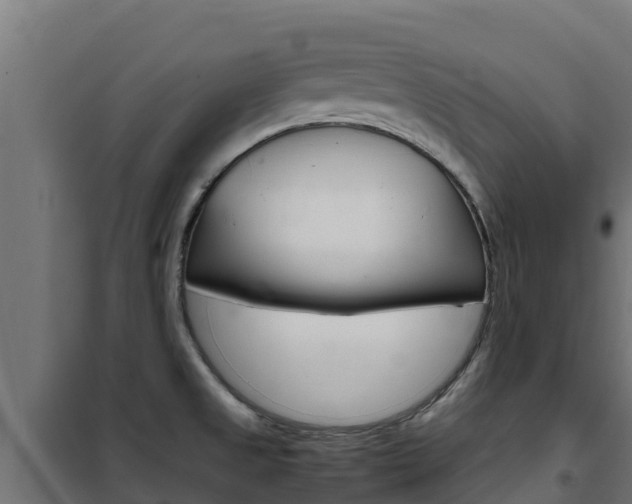 X0000102481525200808081021