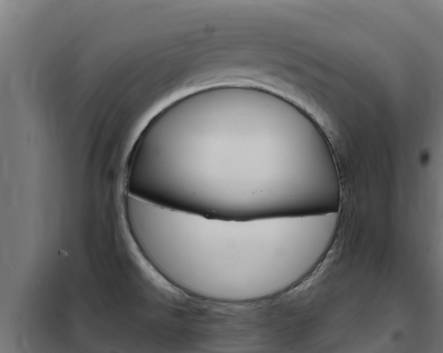 X0000102481526200808081021