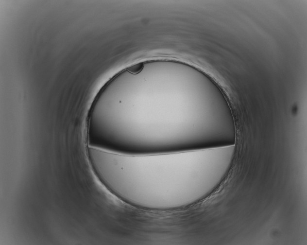 X0000102481527200808081021