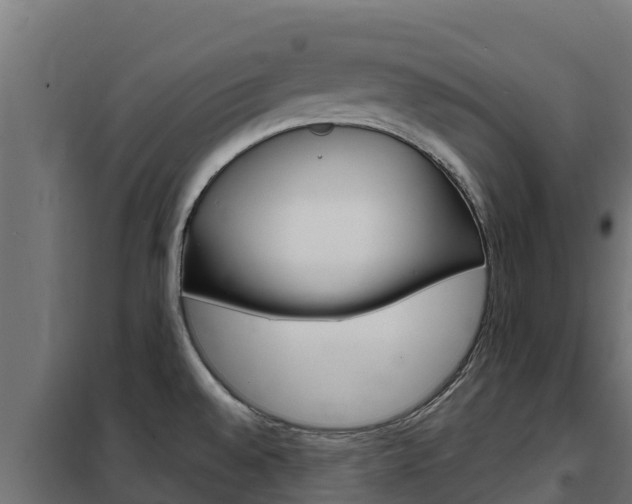 X0000102481528200808081021