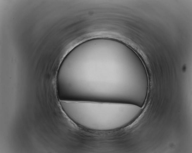 X0000102481529200808081021