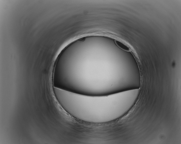 X0000102481530200808081021
