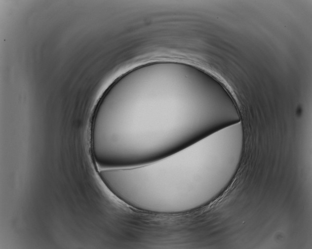 X0000102481531200808081021